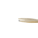 PROFESSIONAL SLANT TWEEZER