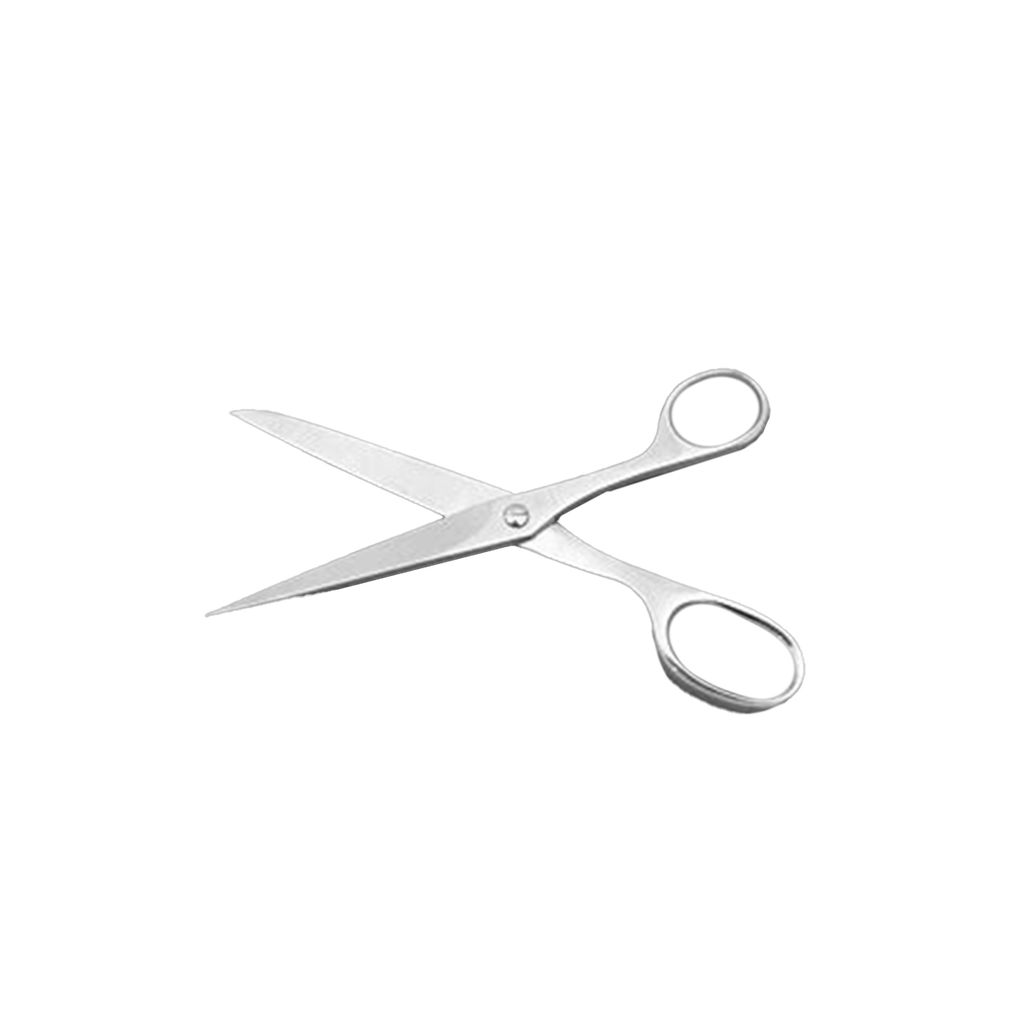 PROFESSIONAL STAINLESS STEEL SCISSORS
